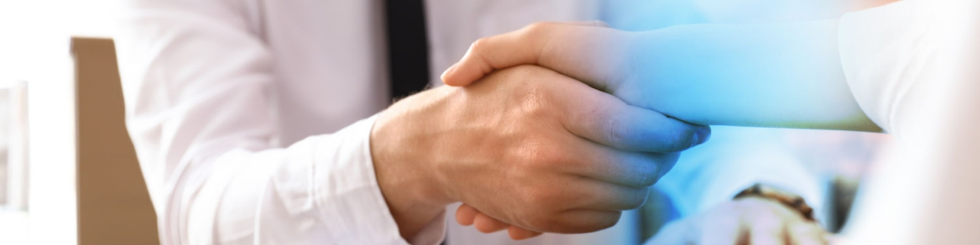 Handschlag als Symbol für starke Partnerschaften mit D&G-Software.